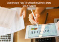 Business Data On A Budget