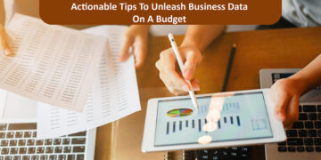 Business Data On A Budget