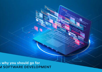 custom software development