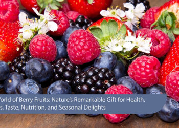 Vibrant World of Berry Fruits: Nature's Remarkable Gift for Health, Happiness, Taste, Nutrition, and Seasonal Delights