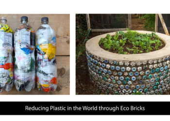 Reducing Plastic waste in the World through Eco Bricks