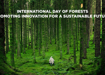 International Day Of Forests: Promoting Innovation For A Sustainable Future