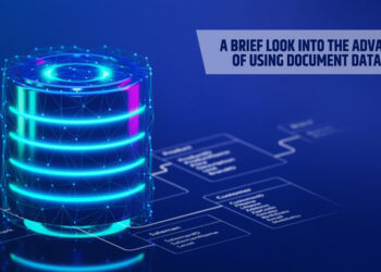 A Brief Look into the Advantages of Using Document Databases