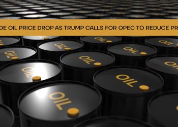 Crude Oil Price Drop as Trump Calls for OPEC to Reduce Prices