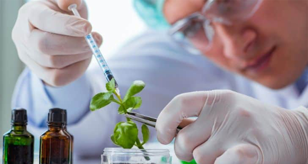 Top enhancement in the Biotechnology